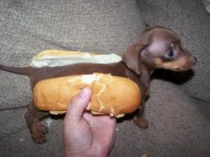 hot-dog.jpeg